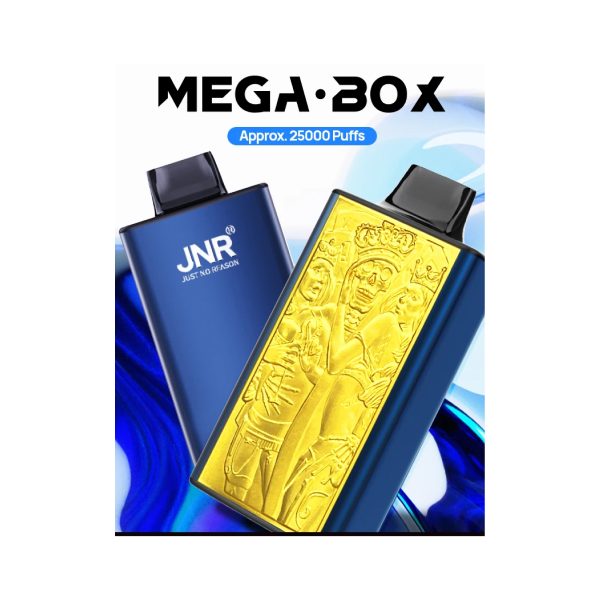 JNR Mega Box 25k Disposable Vape Box of 10