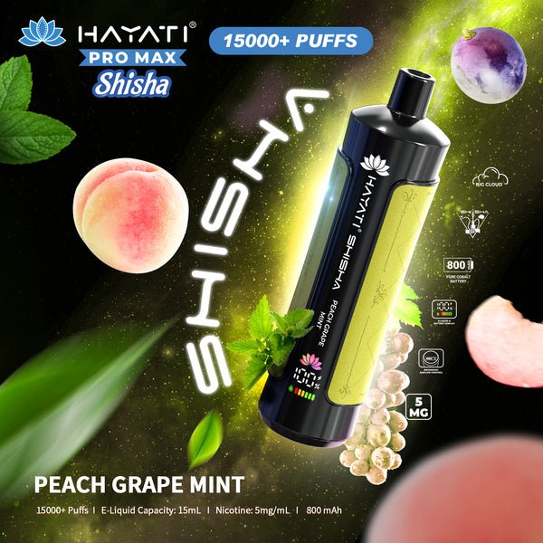 Hayati Pro Max Shisha 15000 Disposable Vape Box of 5