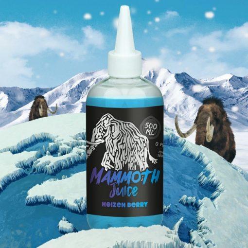 Heizen Berry 500ml E-Liquid By Mammoth Juice - Vapeareawholesale